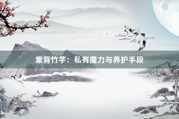 紫背竹芋：私有魔力与养护手段