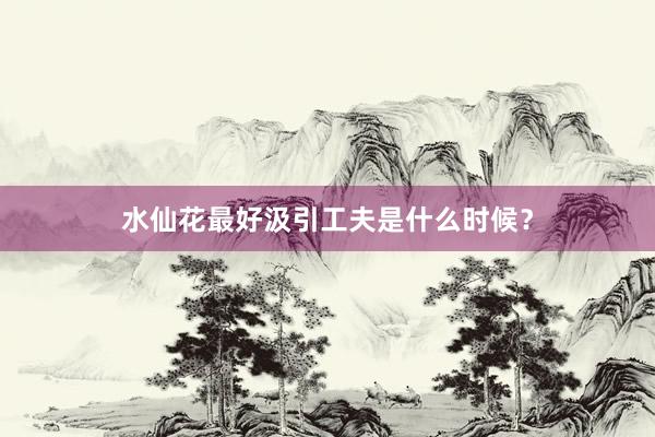 水仙花最好汲引工夫是什么时候？