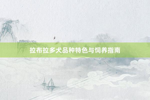 拉布拉多犬品种特色与饲养指南