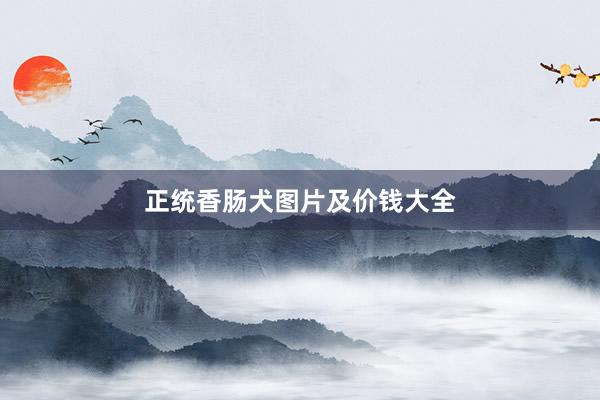 正统香肠犬图片及价钱大全