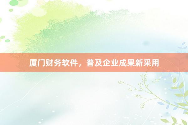 厦门财务软件，普及企业成果新采用